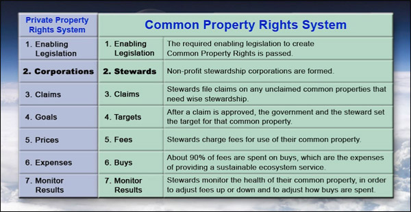 Common Property Rights A Process Driven Approach to