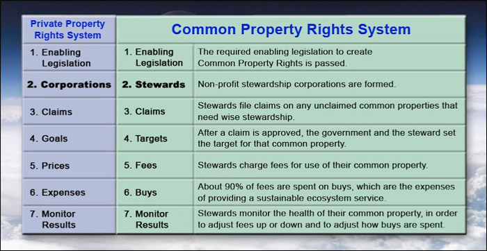 Seven Components of Common Property Rights