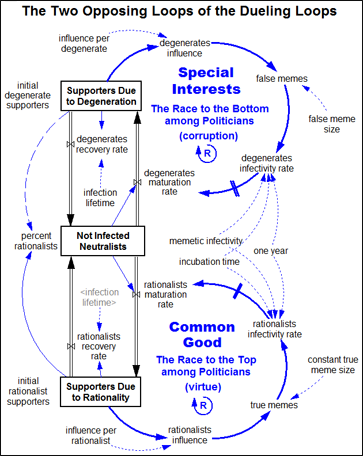 Basic structure of the Dueling Loops model