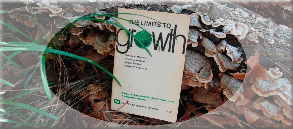 Limits to Growth book on log