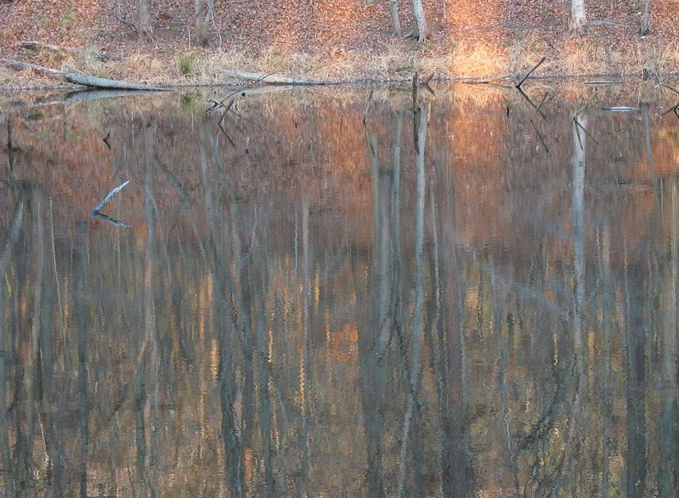 Autumn Reflections at Stone Mountain Park