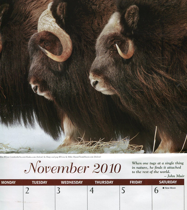Calender with John Muir quote