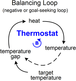 feedback loop examples