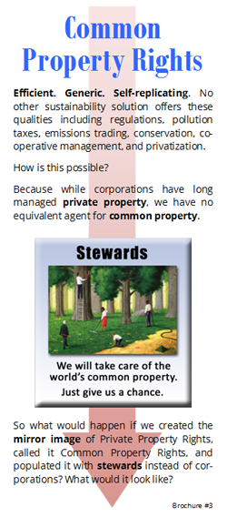 Brochure 3