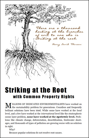 Striking at the Root with Common Property Rights